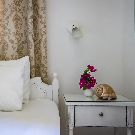 Vilă Mitsa *
